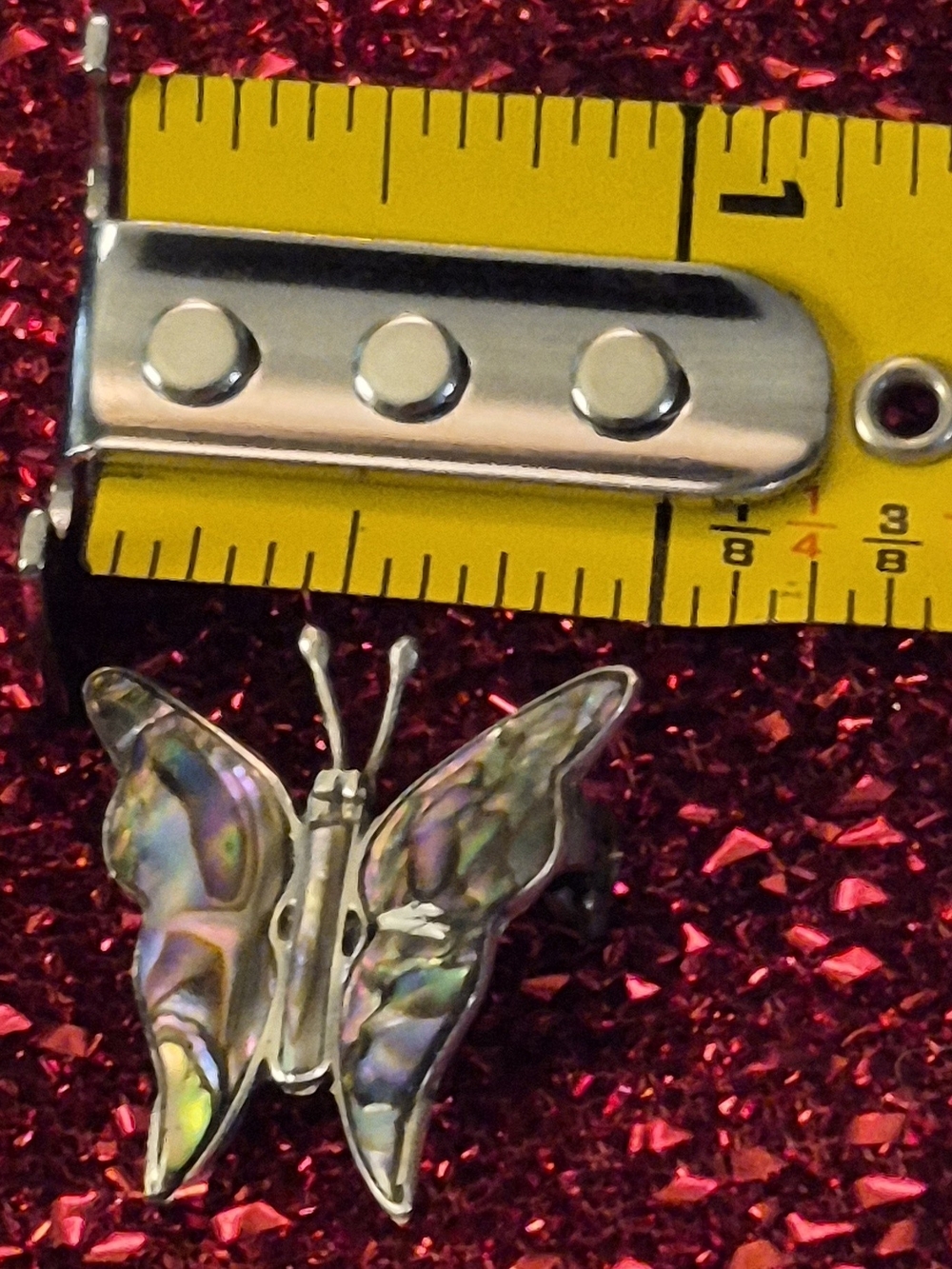 Abalone Butterfly  in Iridescent Shell